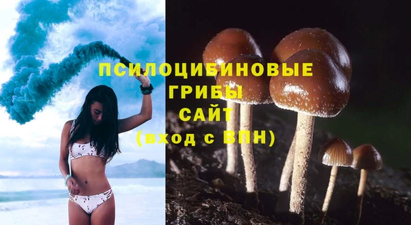 COCAINE Абаза