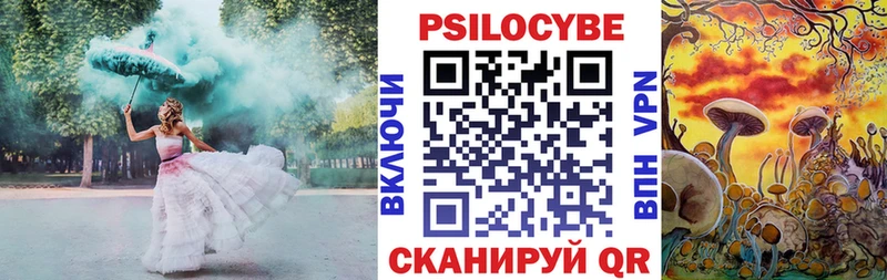 ссылка на мегу ссылка Тетюши дарк нет клад Псилоцибиновые грибы Psilocybe